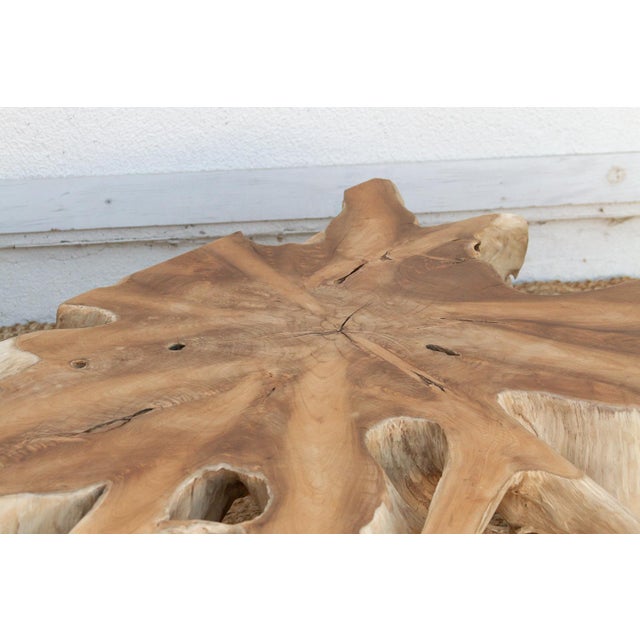 Sculptural Live Form Teak Root Coffee Table For Sale - Image 4 of 9