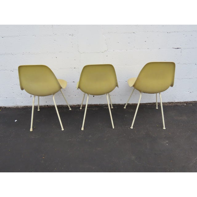 Herman Miller Herman Miller Eames Set of 3 Fiberglass Shell Chairs 1960s Light Yellow 6640 For Sale - Image 4 of 18