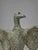 Roman Grand Tour Style Bronze Spread Winged Eagle Sculpture For Sale - Image 4 of 9
