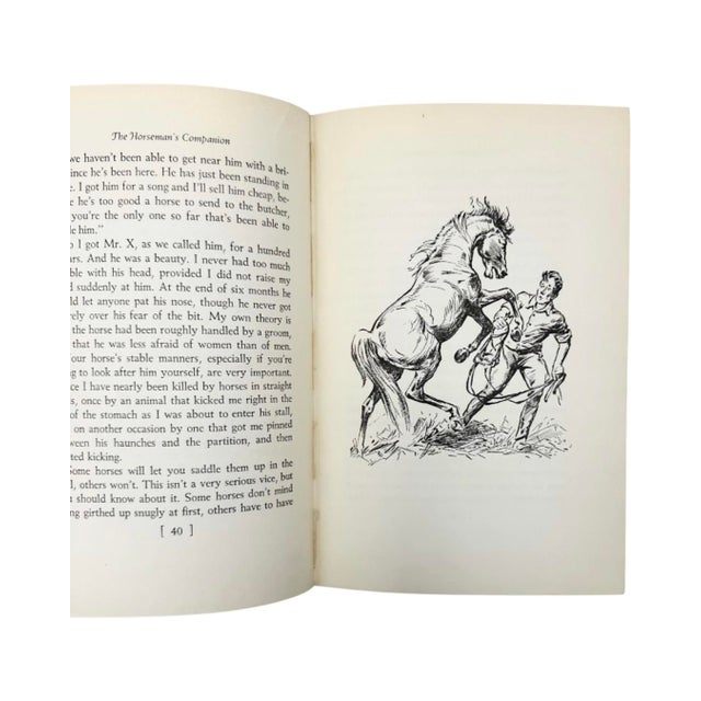 The Horseman's Companion by Margaret Cabell Self 1949 Hardcover Book Equestrian For Sale In Washington DC - Image 6 of 12