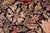 Shabby Chic 1990's Gulshan Pak-Persian Black/Red Wool Rug - 8'1'' X 9'10'' For Sale In New York - Image 6 of 9
