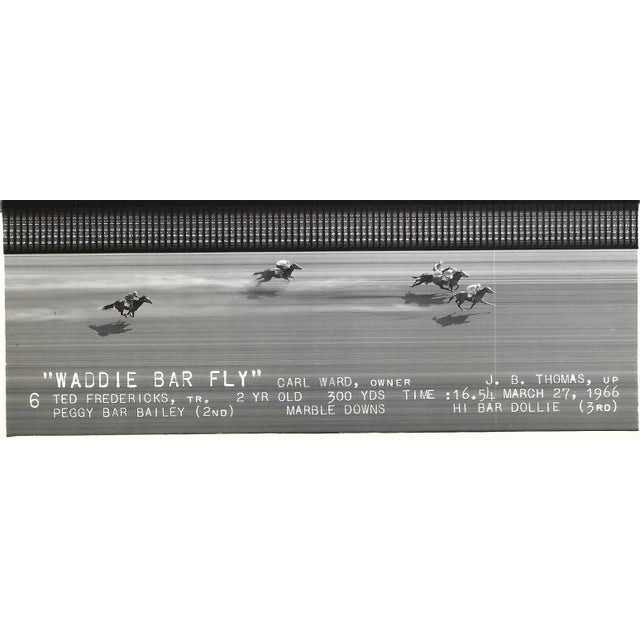 March 1966 black and white photograph of Wade Bar Fly in the winner's circle at Marble Downs in Carthage, Missouri....