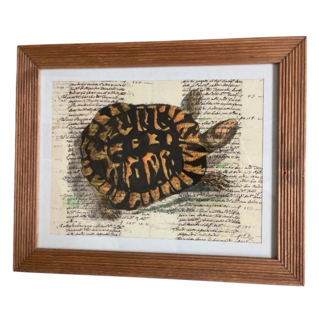 Vintage Tortoise & Manuscript Botanical-Style Art Print in Reeded Wood Frame For Sale - Image 4 of 12