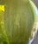Vintage Hand Blown Green Glass Jug*** For Sale - Image 9 of 9