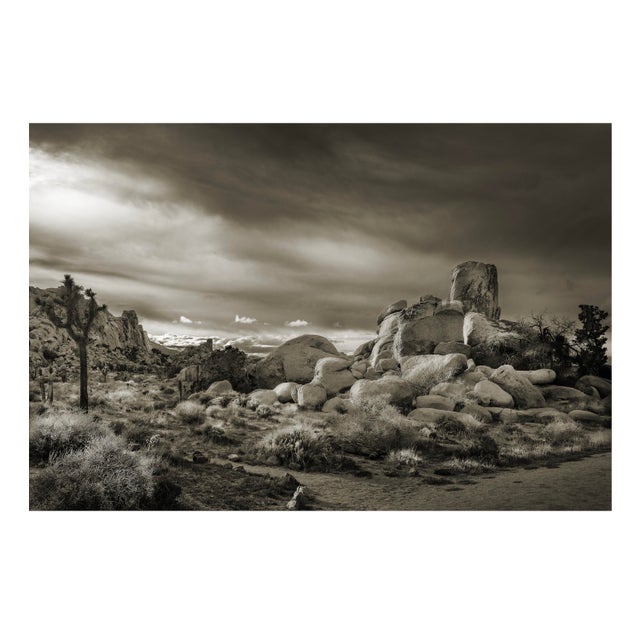 42" Signed Limited Edition Photographic Print by Glenn Daidone / Desertscape / Landscape / Black and White / "Desert Twilight" For Sale