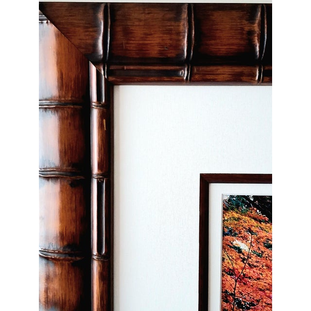 1990s David Brookover Framed Large-Format Photograph, 'Steps to Still Water' 21/400 For Sale - Image 6 of 10
