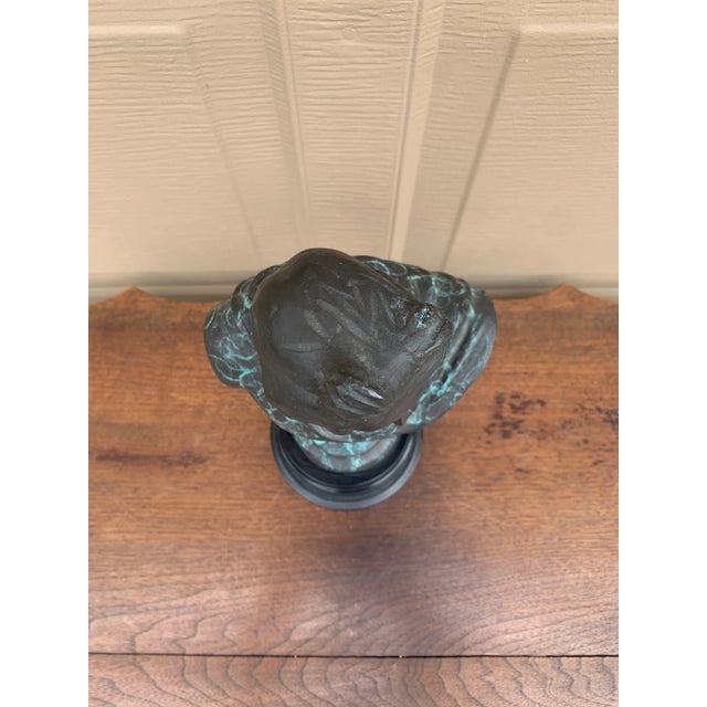 Classical Verdigris Brass Bust of Apollo Belvedere For Sale - Image 11 of 11