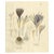 Crocus Sativus, 1800s, Paper For Sale - Image 10 of 10