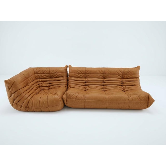 Togo Chairs by Michel Ducaroy for Ligne Roset, 1973, Set of 2 For Sale - Image 9 of 9