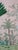 Chinoiserie Pink Wallpaper Mural, Amazonia Forest on Special Florence Pink- Set of 6 For Sale - Image 4 of 17