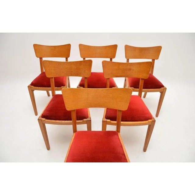 A stylish and very rare set of six vintage g plan dining chairs in oak. They were part of the brandon range, this model...