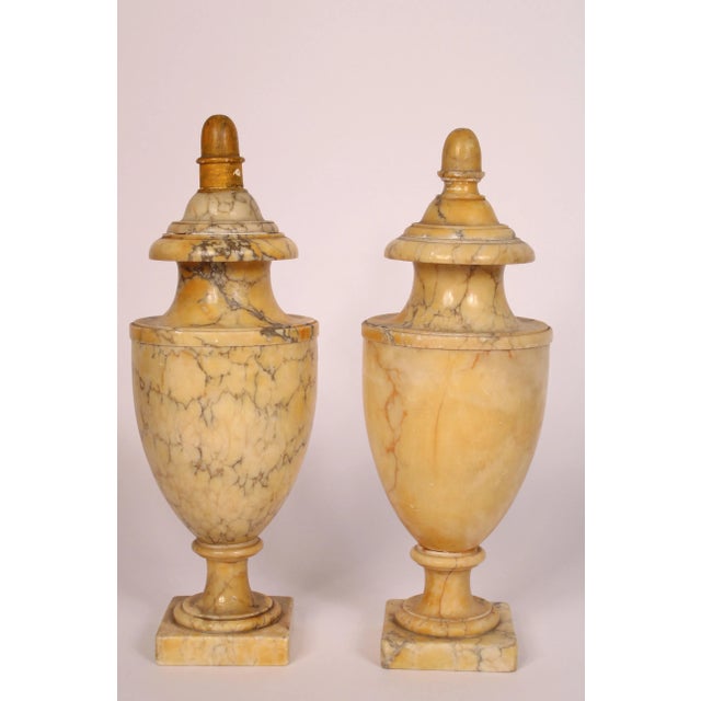 Neoclassical Pair of Sienna Marble Urns For Sale - Image 3 of 11