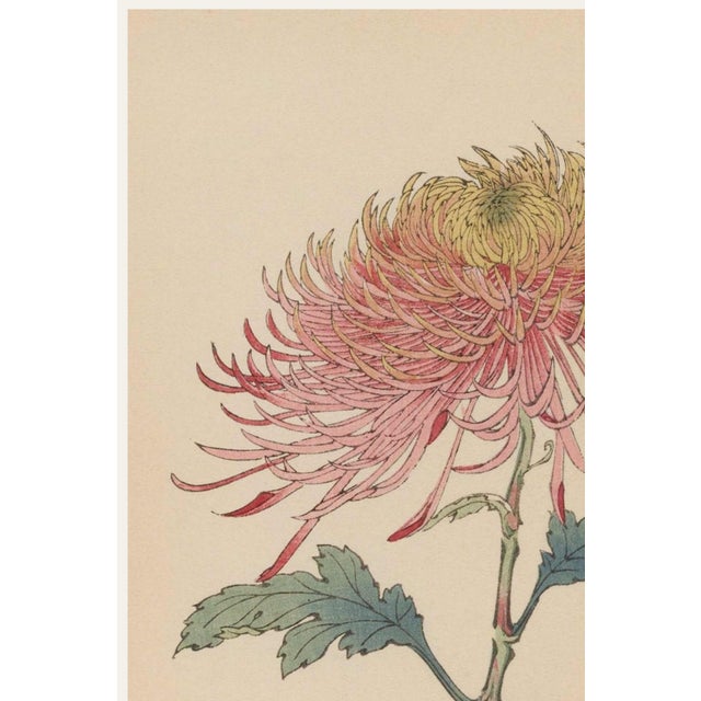 A refined example of late 19th-century Japanese botanical illustration, this vintage botanical art print reproduction...