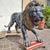 Large Bronze Sculptures of Lions, 1870, Set of 2 For Sale - Image 15 of 18