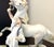 A dramatic Herend porcelain group: a Hungarian csikós, the horseman of the Great Plain, in white folk dress and wide-...