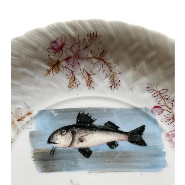 Coastal Austrian Fish and Shell Plate For Sale - Image 3 of 5
