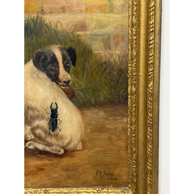 F. M. Bailey, Whimsical Dog Portrait With Beetle, 1906 For Sale - Image 10 of 10