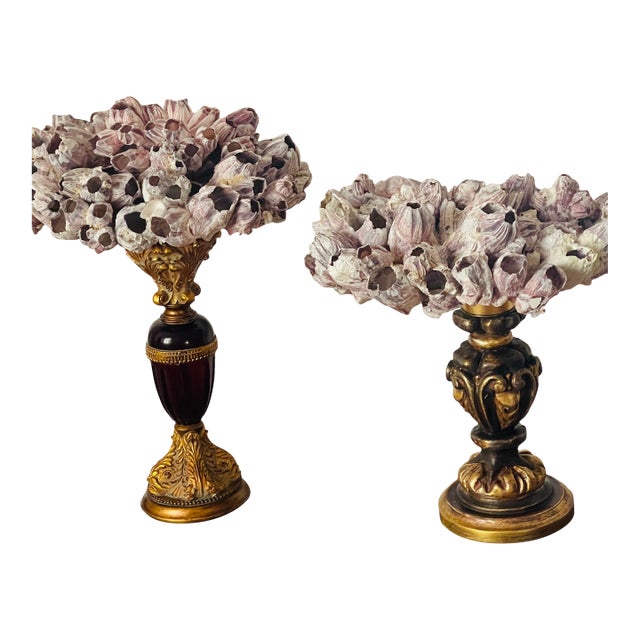 1970s Gorgeous Pair Sea Shell Barnacles on Stands Organic Modern For Sale