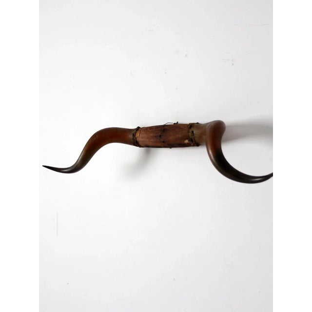 Antique Bull Horns Wall Mount For Sale - Image 11 of 13
