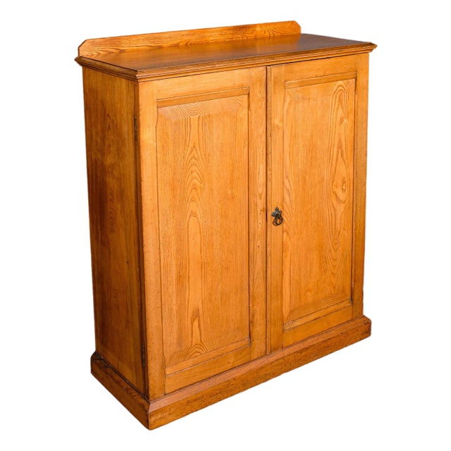 Tall Antique Side Cabinet, English, Ash, Book Cupboard, Hall, Lounge, Victorian For Sale