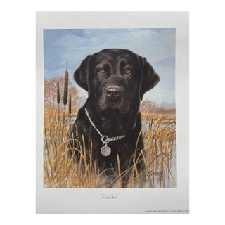 1990s Jim Killen Sporting Dog Art Great Retrievers Black Lab (20"x17") That's My Dog Open Edition For Sale