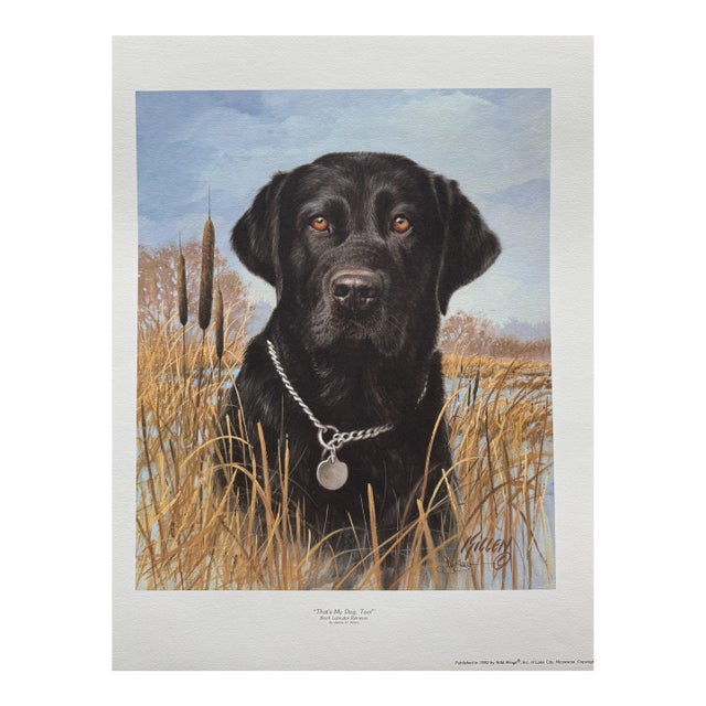 1990s Jim Killen Sporting Dog Art Great Retrievers Black Lab (20"x17") That's My Dog Open Edition For Sale