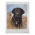 1990s Jim Killen Sporting Dog Art Great Retrievers Black Lab (20"x17") That's My Dog Open Edition For Sale