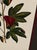 Cream Vintage Framed "Jenna's Flowers Ii" Botanical Print by Decorative Arts, Inc. For Sale - Image 8 of 12