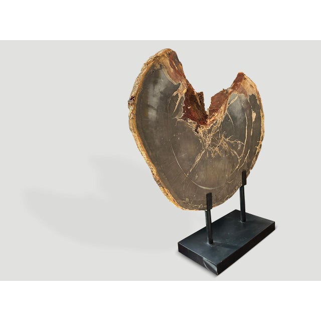 Black Andrianna Shamaris High Quality Petrified Wood Sculpture or Coffee Table For Sale - Image 8 of 18