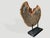 Black Andrianna Shamaris High Quality Petrified Wood Sculpture or Coffee Table For Sale - Image 8 of 18