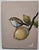 An impressionist oil painting of a wren bird on a lemon tree, by UK based artist Vivek Mandalia. Frame and hang in your...