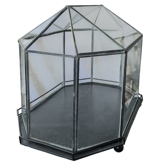 Bunny Williams Home Vintage Glass & Metal Cloche Style Tabletop Greenhouse / Terrarium For Sale - Image 4 of 7
