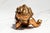 Metal Heavy Classical Figurine Vintage Solid Metal Cherub Putti With Bird Sculpture Paperweight Home Decor Art For Sale - Image 7 of 13
