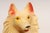 Vintage Painted Chalkware Carnival Chalk Collie Dog Sculpture / Figurine For Sale - Image 9 of 18