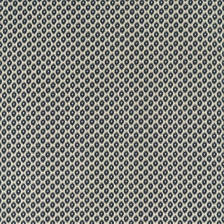 Sanderson Meru Fabric in Indigo - a Sample For Sale