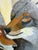 “Coyote Love” Art by LWren Walraven For Sale - Image 4 of 11