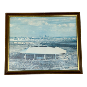 Framed Picture of the Old Dallas Cowboys Texas Stadium