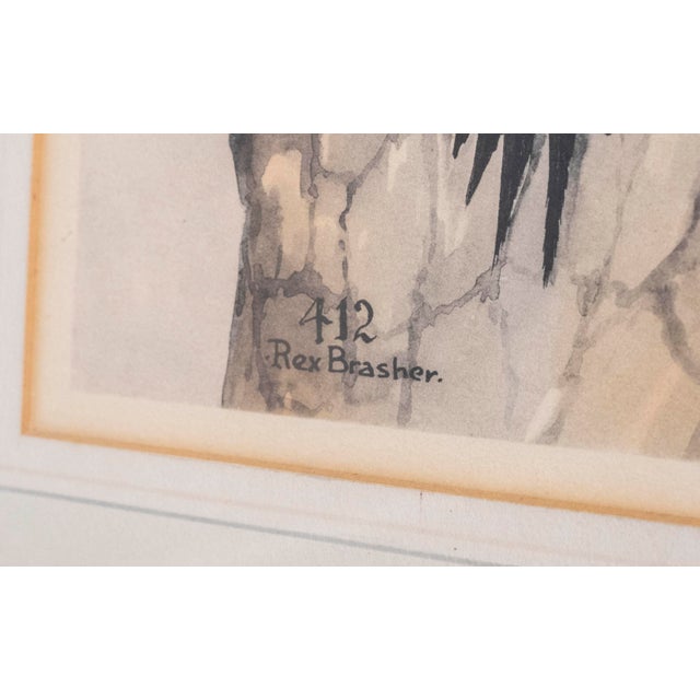 1960s Rex Brasher Watercolor Art 2 Northern Flickers (Woodpeckers) Signed & Numbered For Sale - Image 5 of 9