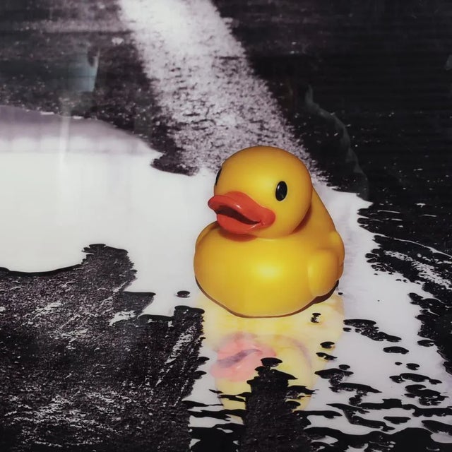 Ivana Vostrakova, Spring Swimming, 2013, Archival Pigment Print For Sale - Image 4 of 7