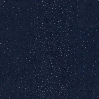 Schumacher Northern Lights Fabric in Midnight For Sale