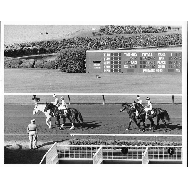 1970s black and white equestrian photo by Los Angeles, CA based photographer Don Coleman Ware (1921-2006) of Hollywood...