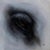 The artwork "Motitus" captures an intimate close-up of an animal's eye, revealing intricate details that evoke a sense of...
