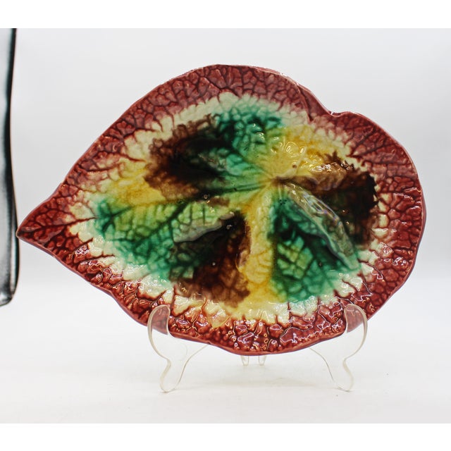Circa 1880s English majolica begonia leaf tray. Maroon bordered. Minor old glaze pops. Retains Brilliant Antiques, St....