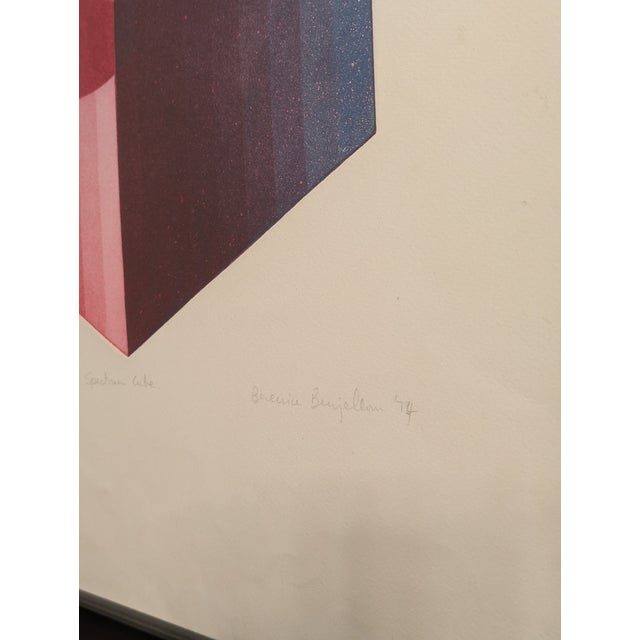 Berenice Benjelloun, Spectrum Cube, 1974, Print, Framed For Sale - Image 3 of 8