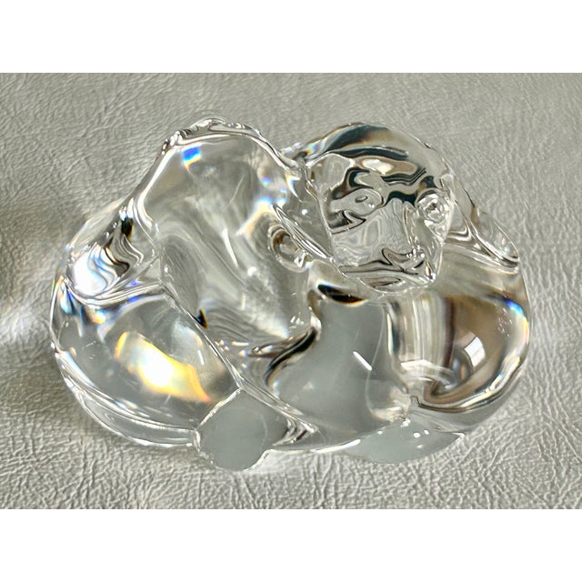 Glass Vintage Steuben Signed Crystal Paperweight Puppy Love For Sale - Image 7 of 14