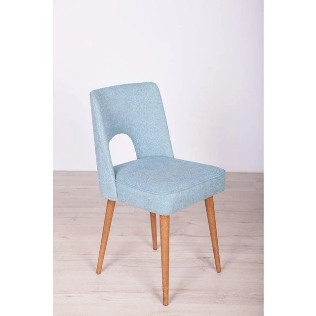 Polish Shell Chairs from Bydgoszcz Furniture Factory, 1960s, Set of 6 For Sale - Image 17 of 17