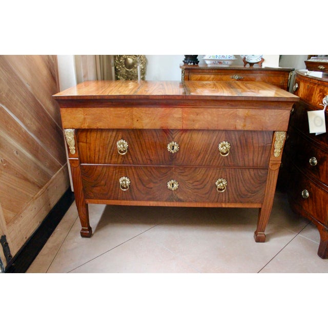 Neoclassical Italian Neoclassical Commode With Exceptional Brass Hardware For Sale - Image 3 of 18