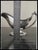 1950s Vintage SilverPlate Gravy Boat Jug 1007-C For Sale - Image 5 of 6
