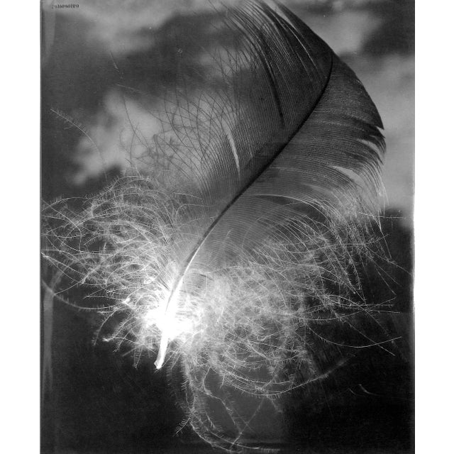 Paper "Andreas Feininger Photographer" 1986 Feininger, Andreas (Inscribed) For Sale - Image 7 of 12