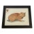 Watercolor Cat Portrait With Stamp Painting For Sale